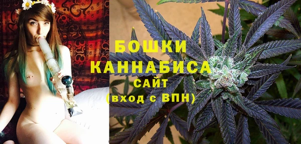 ALPHA PVP Новозыбков