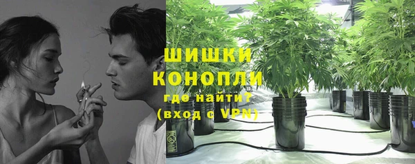 Альфа ПВП Новодвинск