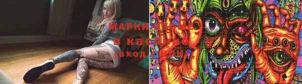 ALPHA PVP Новозыбков