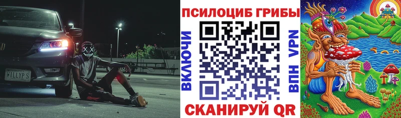 Галлюциногенные грибы мухоморы  Купить закладки  Сыктывкар 