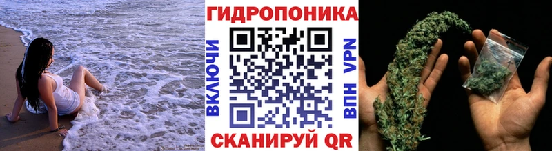 Купить где  Сыктывкар  Бошки Шишки сатива 